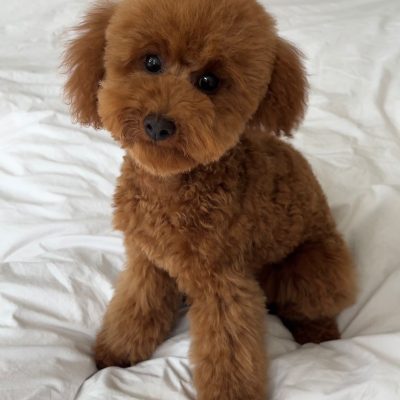 7139dd2c-52b7-4111-9948-771a585be6db