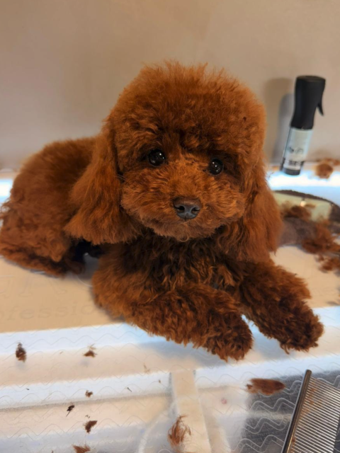 Screenshot 2026-02-26 at 14.28.26